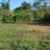 Terreno NRVZ 4