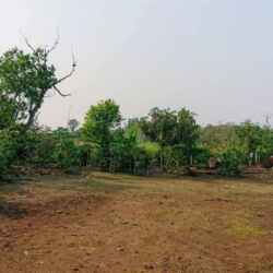 Terreno NRVZ 1
