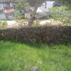 WhatsApp Image 2025-05-05 at 10.08.38