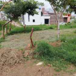 Screenshot_2025-06-17-20-18-20-49_965bbf4d18d205f782c6b8409c5773a4[1]