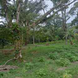 IMG20250822154852[1]