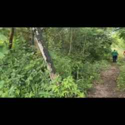 Screenshot_2025-11-02-14-50-36-29_6012fa4d4ddec268fc5c7112cbb265e7[1]