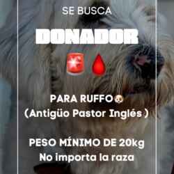 C4056B3D-EDCD-4BDB-B783-ACC0BFF6BDDE