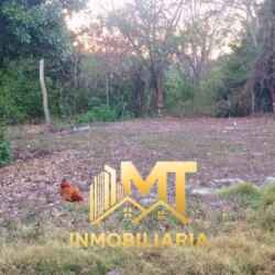 b6b80aa7-77c3-44c5-af26-66c09e9dcd10