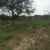 thumbnail_IMG_4938