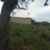thumbnail_IMG_4934